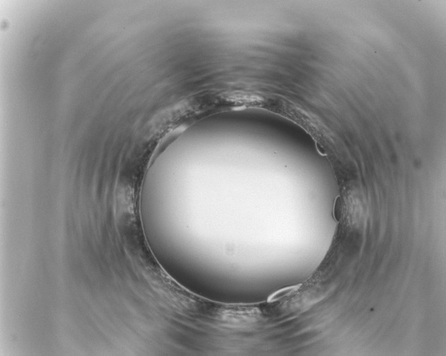 X0000086990571200704231848