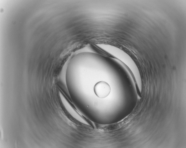 X0000086990572200704231848