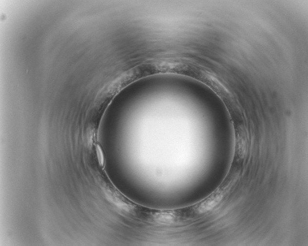 X0000086990574200704231848