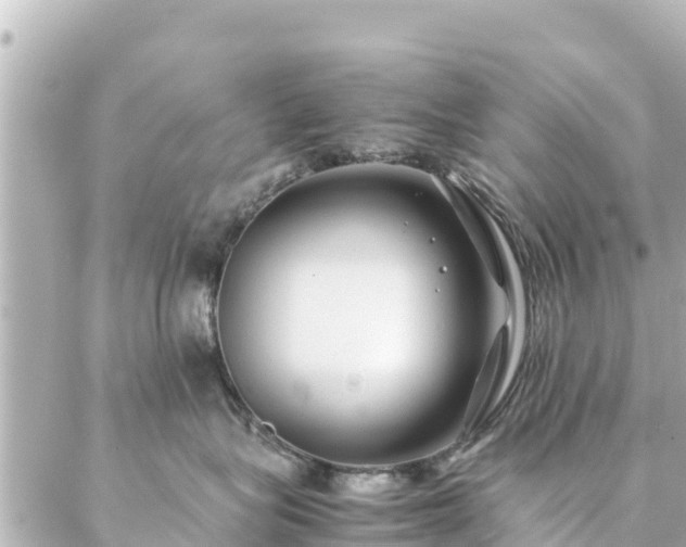 X0000086990575200704231848