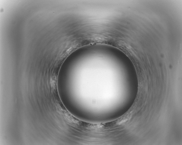 X0000086990576200704231848