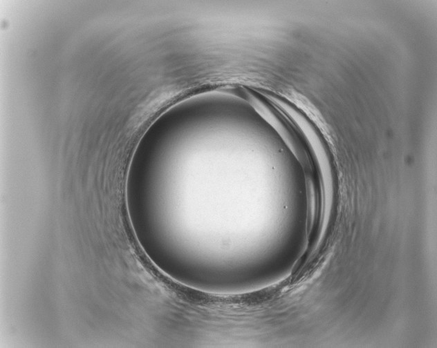 X0000086990577200704231847