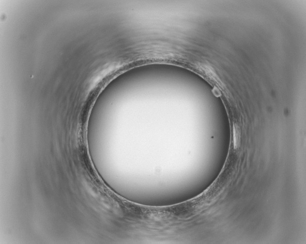 X0000086990579200704231847