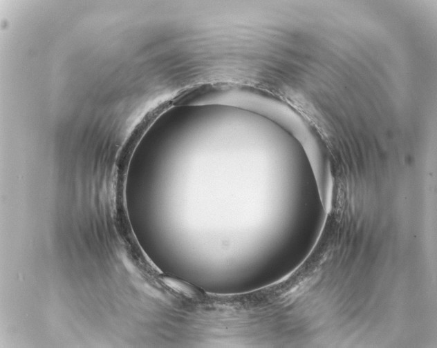 X0000086990580200704231847