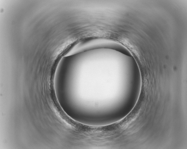 X0000086990581200704231847