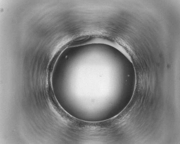 X0000086990582200704231847