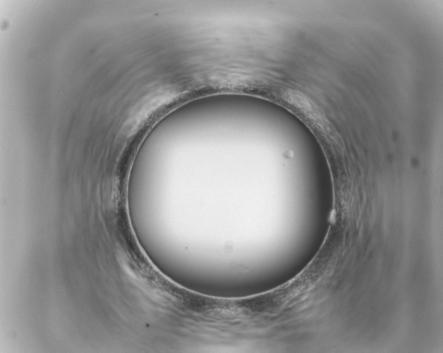 X0000086990583200704231847