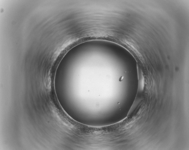 X0000086990584200704231847