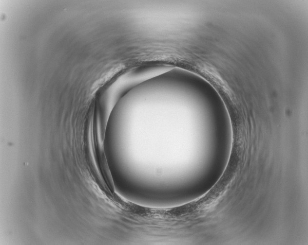 X0000086990585200704231847