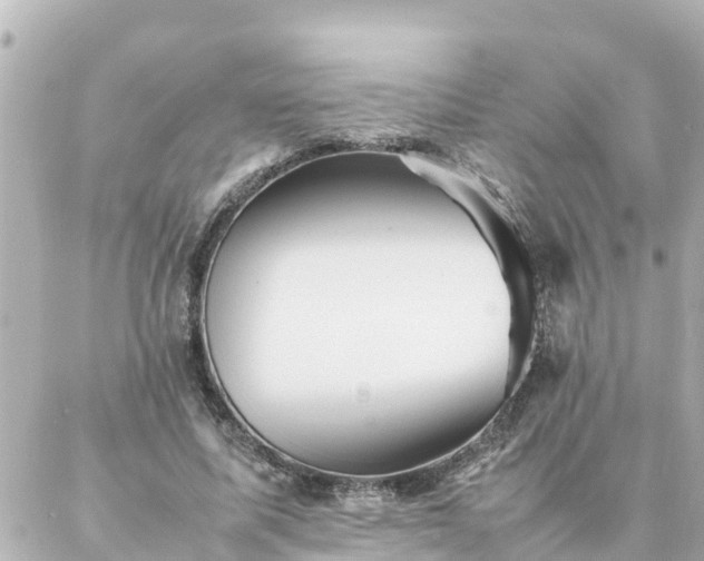 X0000086990587200704231847