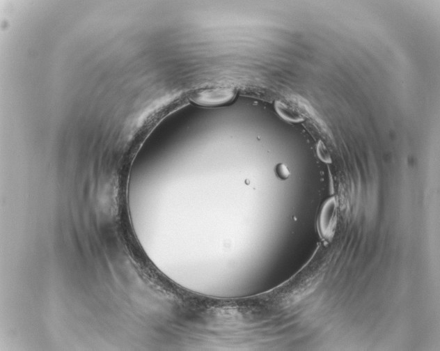 X0000086990588200704231847