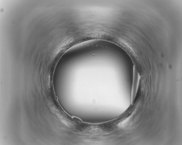 X0000086990589200704231847