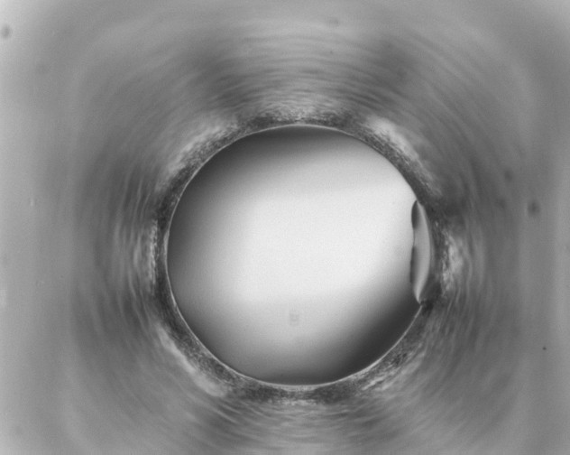 X0000086990590200704231847