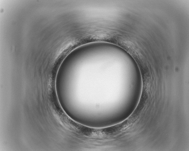 X0000086990591200704231847