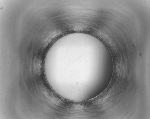 X0000086990592200704231847