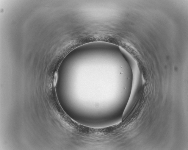 X0000086990593200704231847