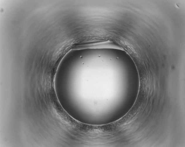 X0000086990594200704231847