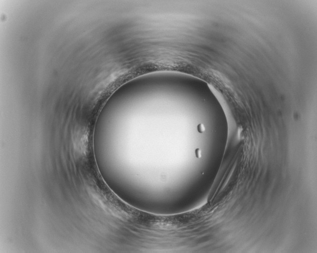 X0000086990596200704231847