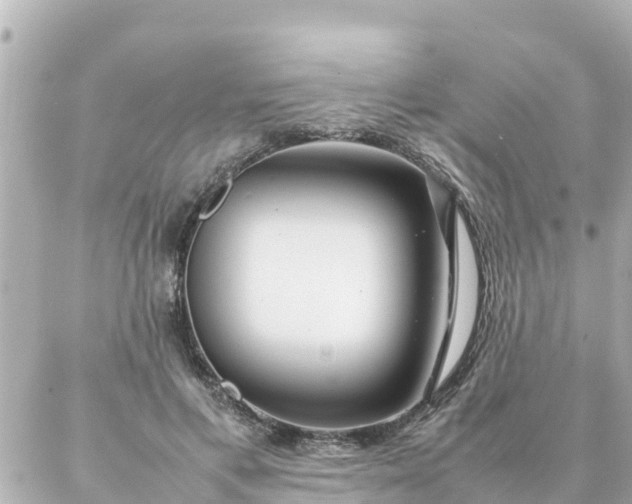 X0000086990597200704231847