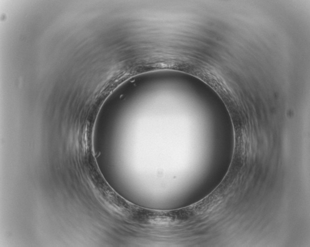 X0000086990598200704231847