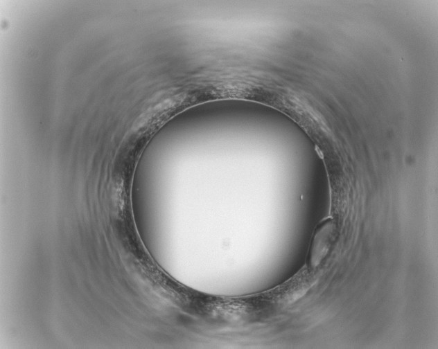 X0000086990599200704231847