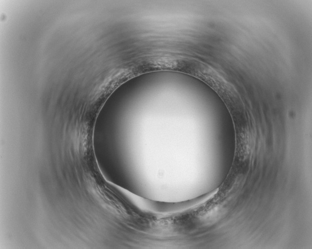 X0000086990600200704231847