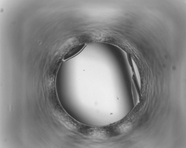 X0000086990601200704231847