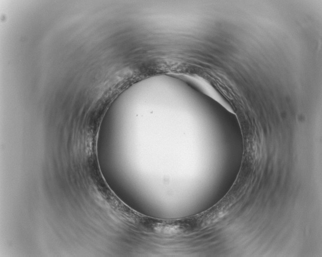 X0000086990602200704231847