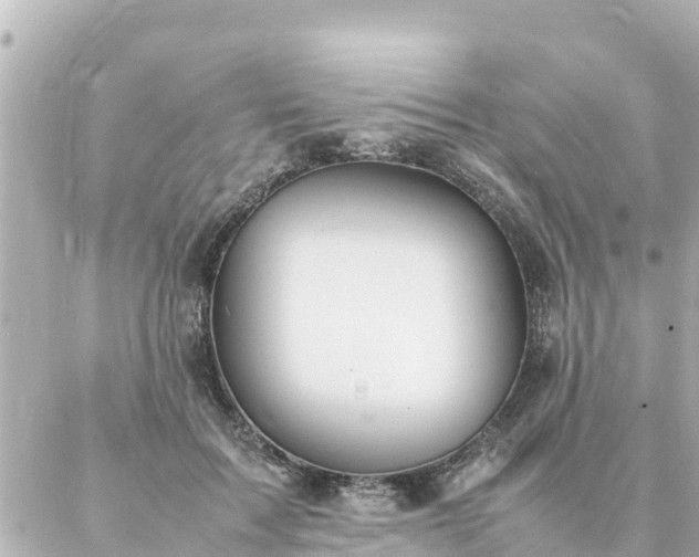 X0000086990603200704231847