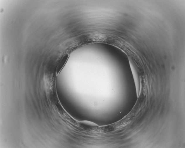 X0000086990604200704231847