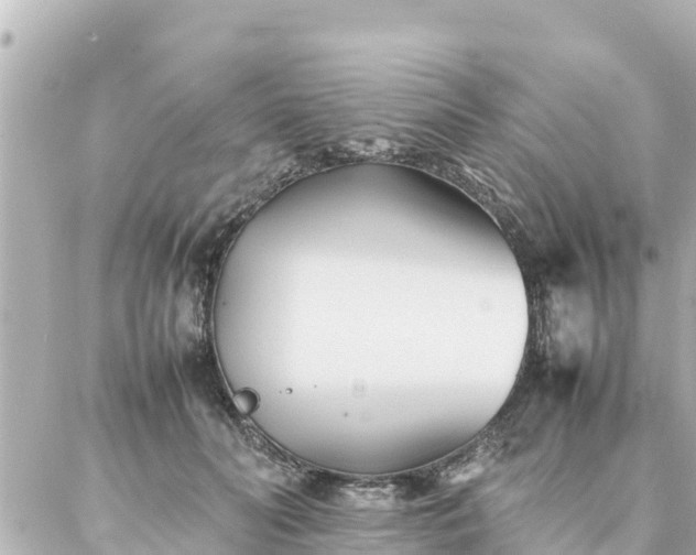 X0000086990606200704231847