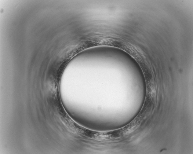 X0000086990607200704231847