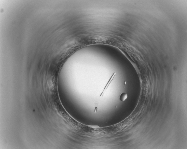 X0000086990608200704231846