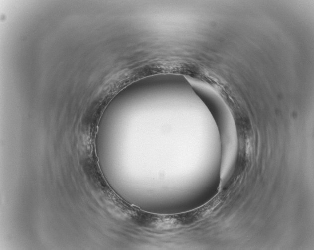 X0000086990609200704231846