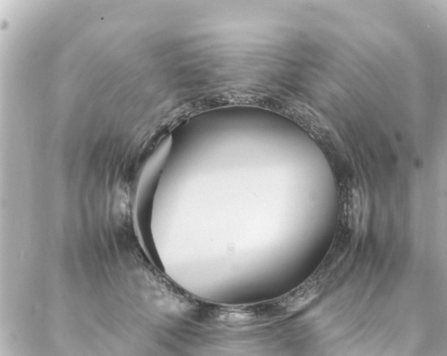 X0000086990610200704231846