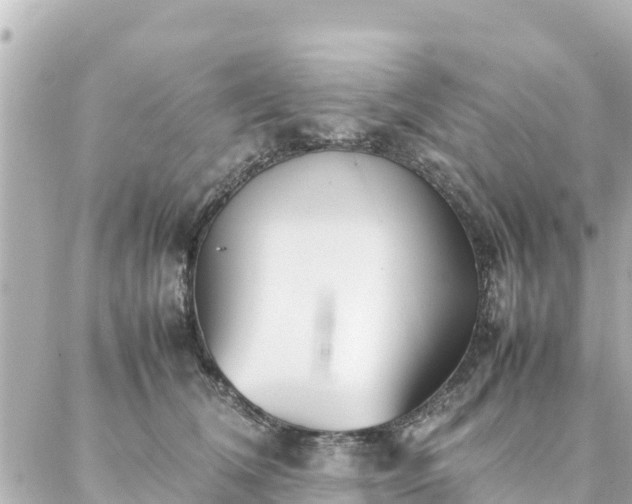 X0000086990612200704231846