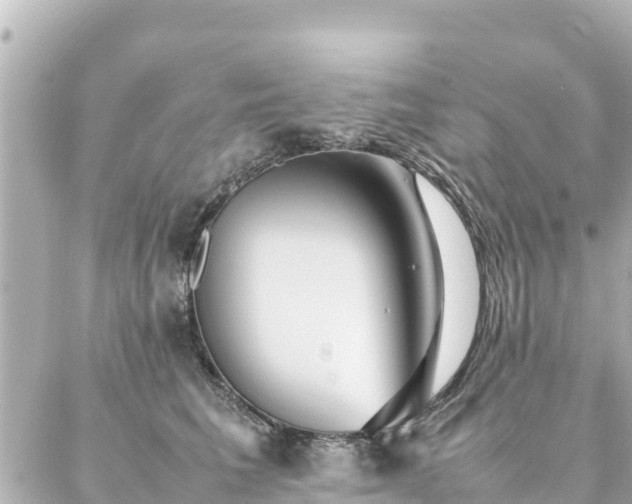 X0000086990613200704231846