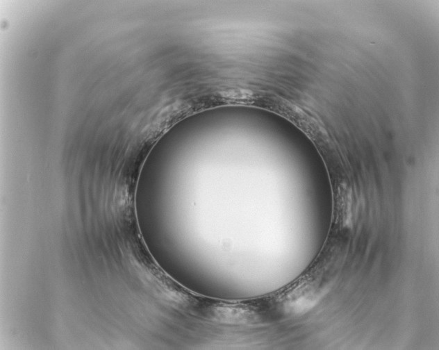 X0000086990614200704231846