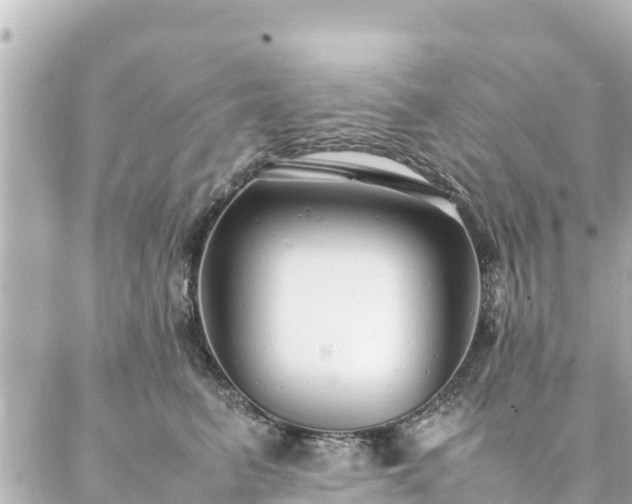 X0000086990615200704231846