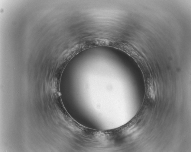 X0000086990616200704231846