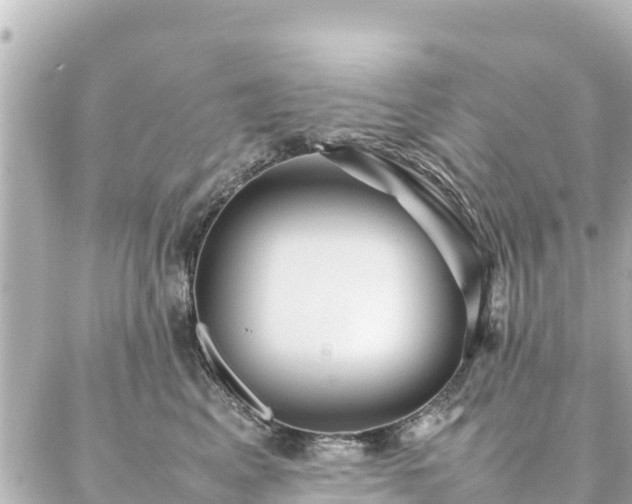 X0000086990617200704231846