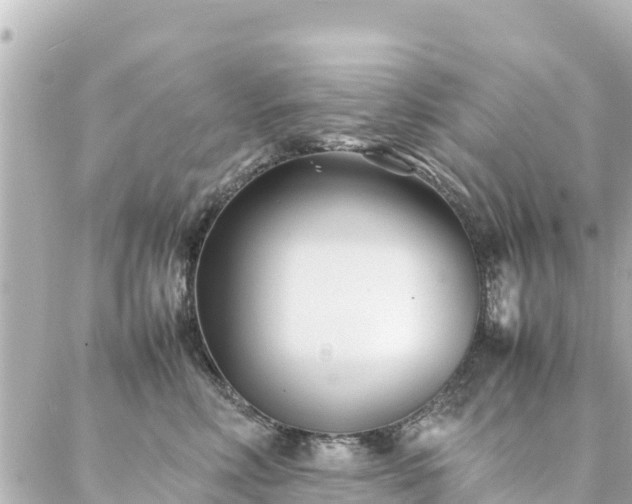 X0000086990618200704231846