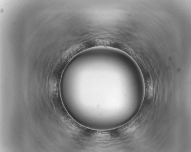 X0000086990619200704231846