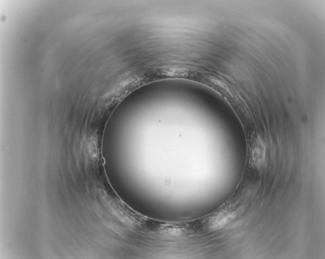 X0000086990620200704231846