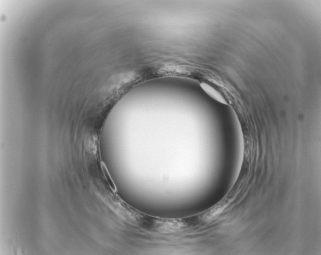 X0000086990621200704231846