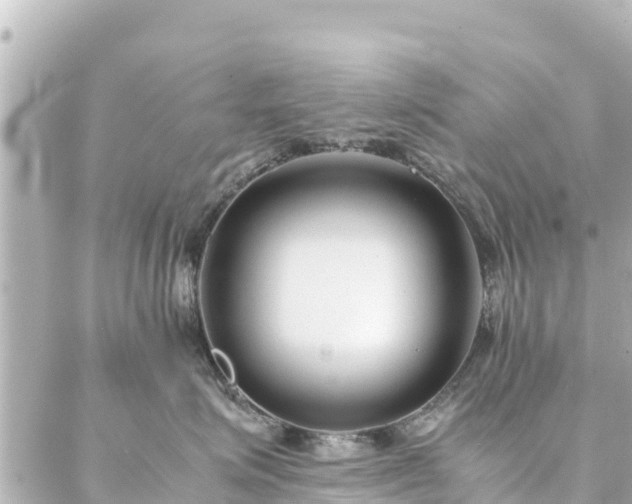 X0000086990623200704231846