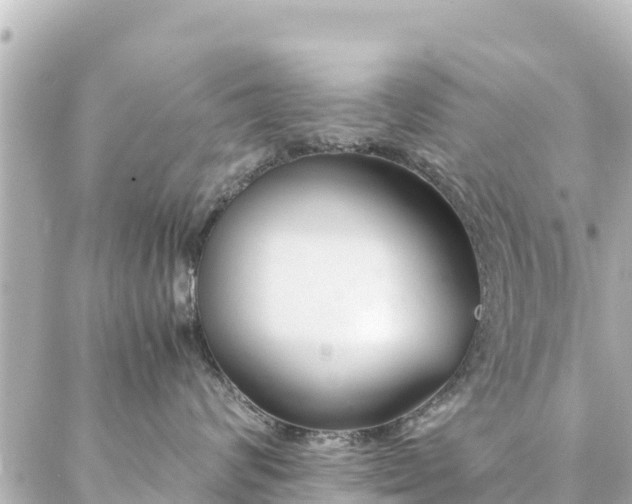 X0000086990624200704231846