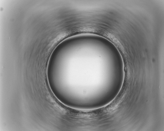 X0000086990625200704231845