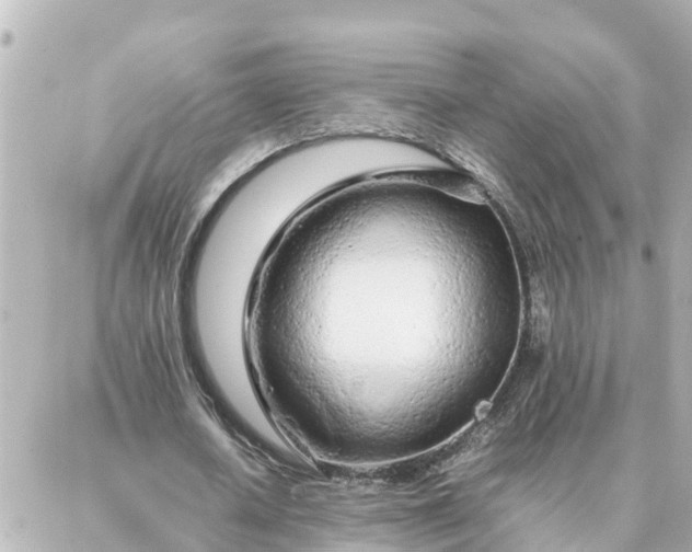 X0000086990626200704231845