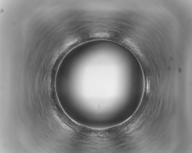 X0000086990627200704231845